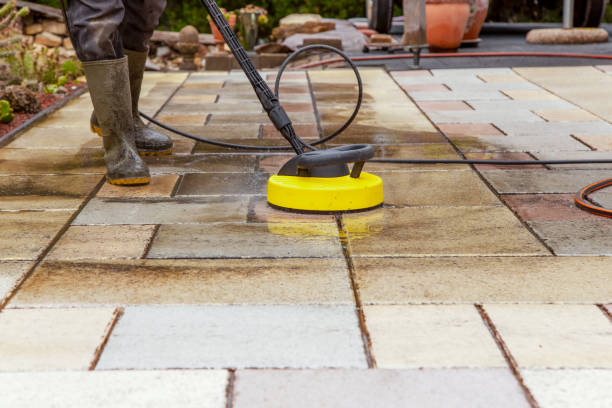 Animal Enclosure Cleaning in Northlake, IL